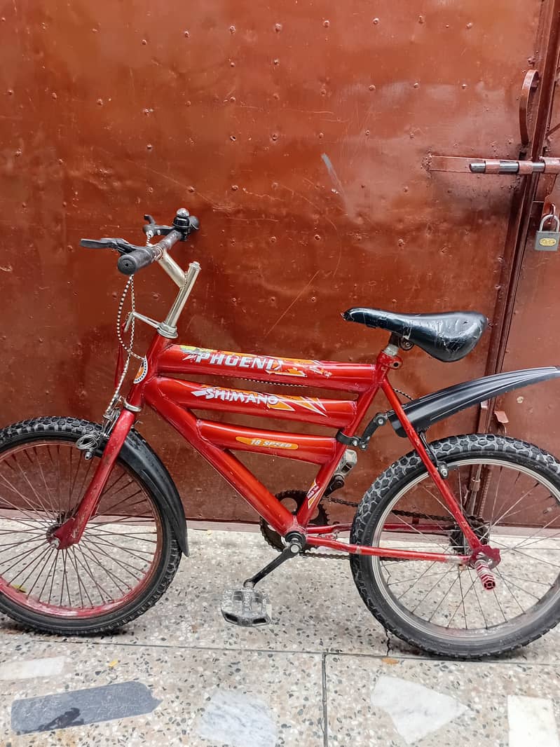 Bicycle 11