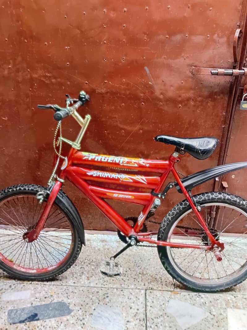 Bicycle 12
