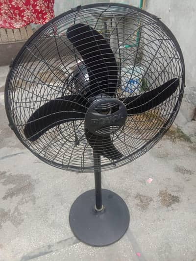 Royal fan