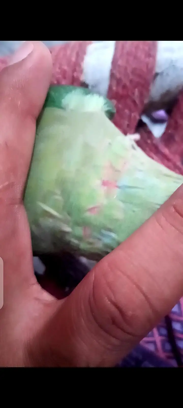 Hand tame — photo 6