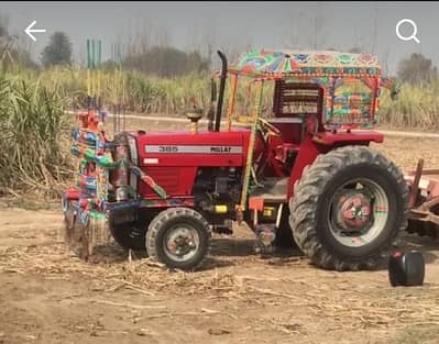 385 mallat patti for sale