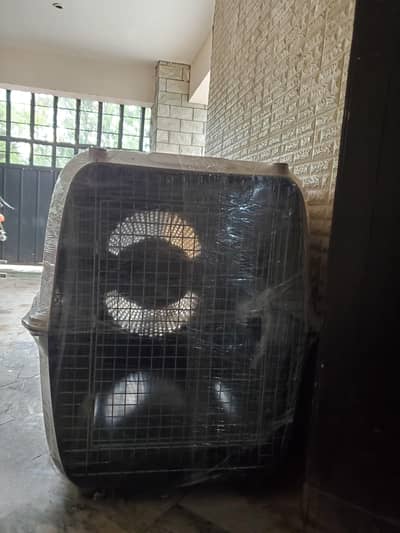 Jumbo Size Dog Jet Box