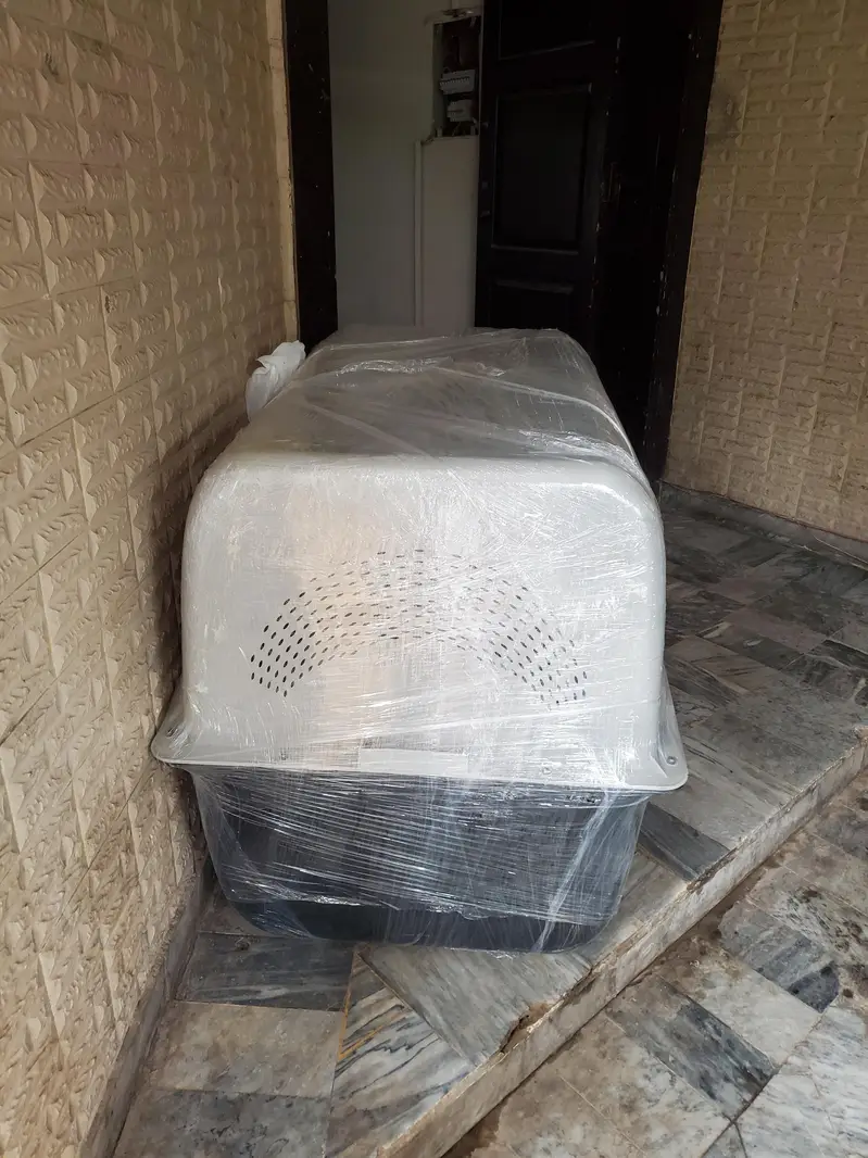 Jumbo Size Dog Jet Box — photo 2