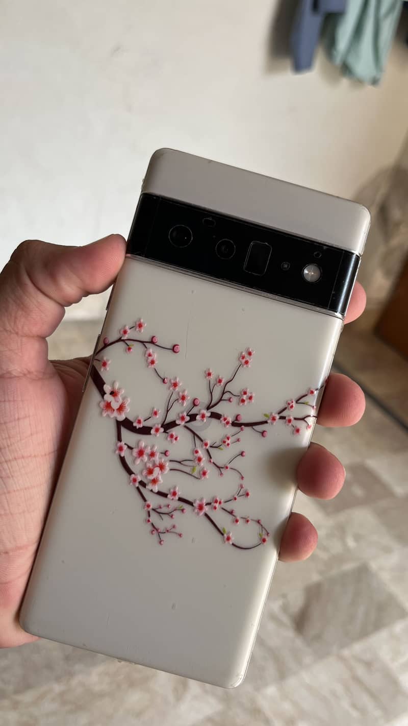 Google Pixel 6 Pro 1