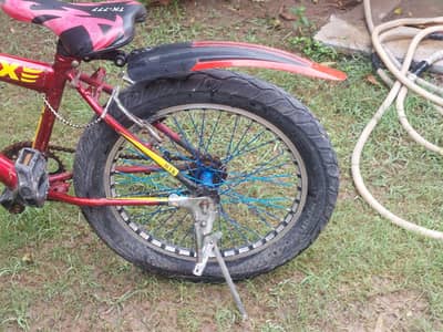 baby girls cycle