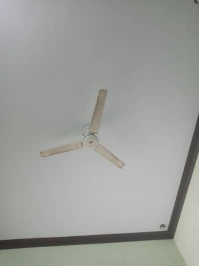 56 inch Royal and Younas Fans for Sale