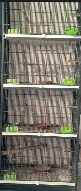 04 portion spot welding cage