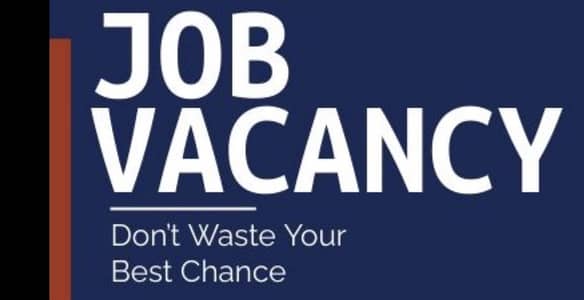 Female Accountant