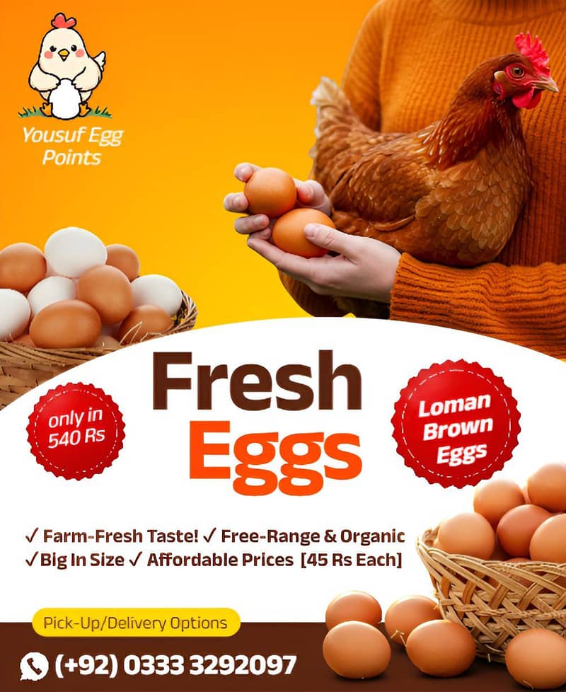Eggs Fresh 0