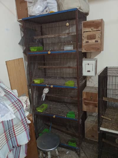 Premium Bird Cage Available | 1.5×2 & 2×2 Ft Rust Free Cages