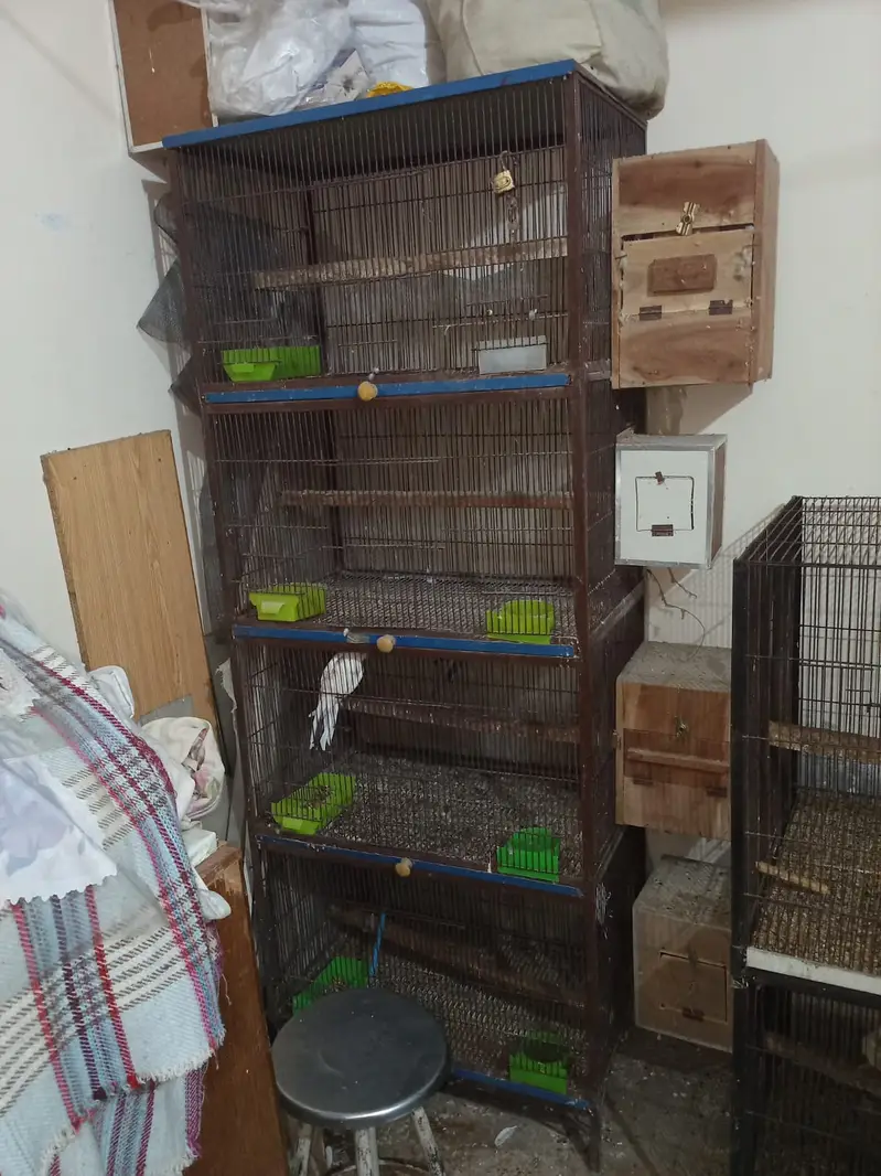 Premium Bird Cage Available | 1.5×2 & 2×2 Ft Rust Free Cages