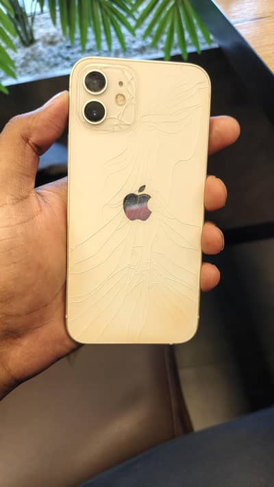 Apple iPhone 12