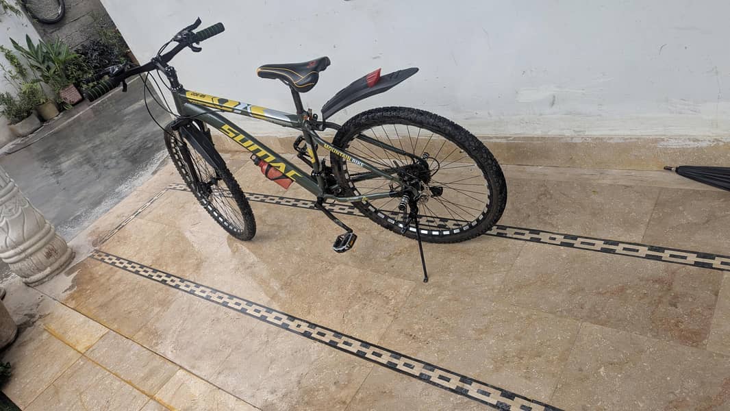 Bicycle 0
