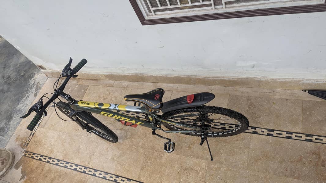 Bicycle 1