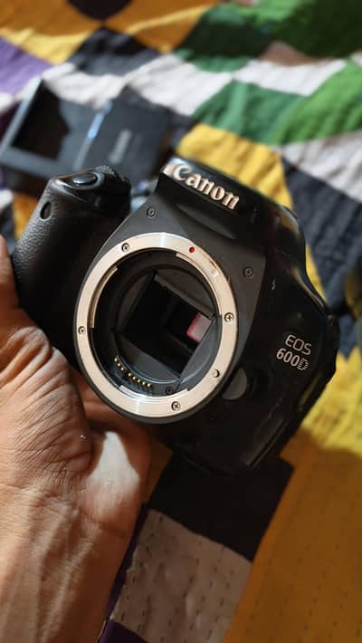Canon EOS 600D with Lens 55-250 mm