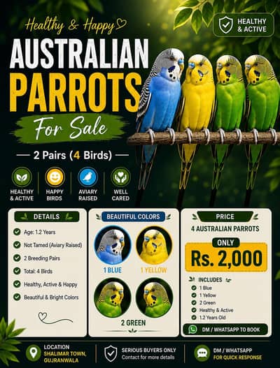 AUSTRALIAN PARROT'S