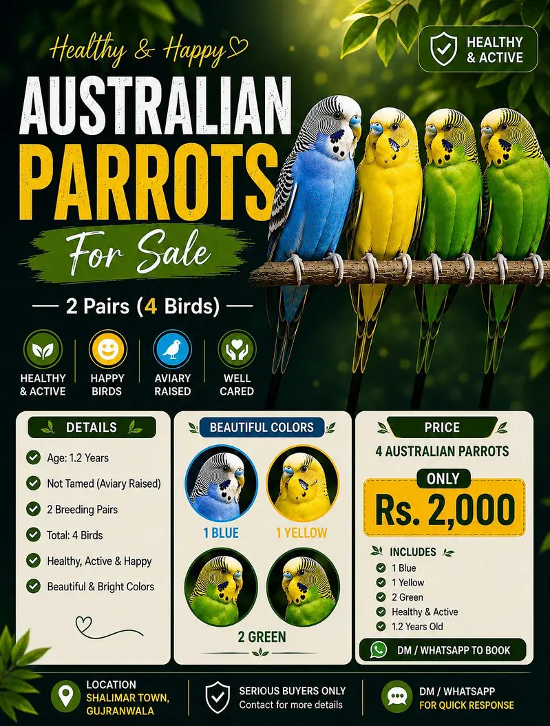 AUSTRALIAN PARROT'S