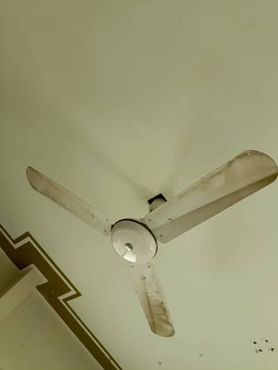 AoA I Am Selling My fan