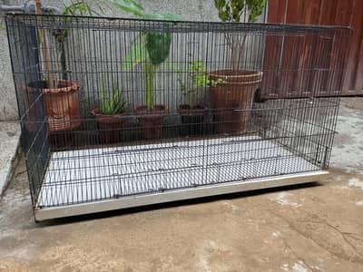 Parrot Cage | Hen Cage | Aseel Cage| Cat Cage|