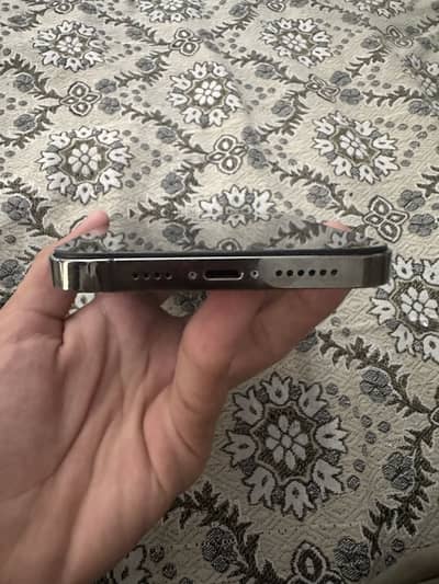 Apple iPhone 12 Pro Max