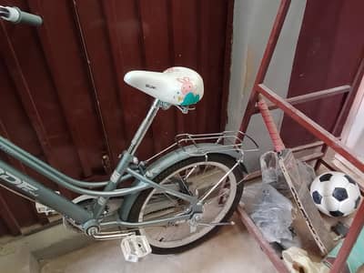 BDF bicycle