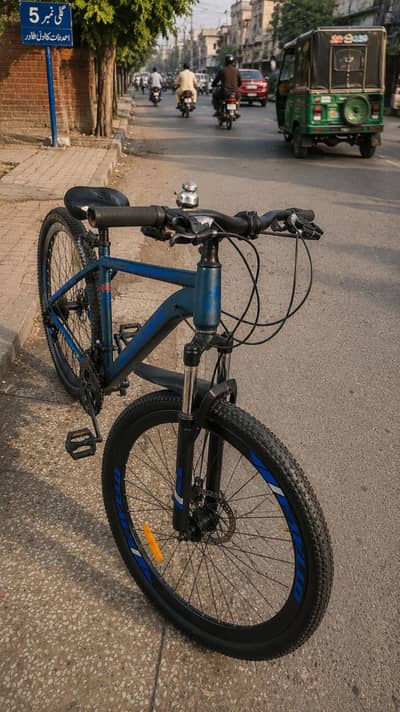 29 inch  ottava