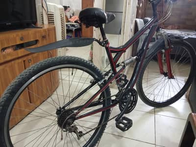 Totem bicycle 29 inch