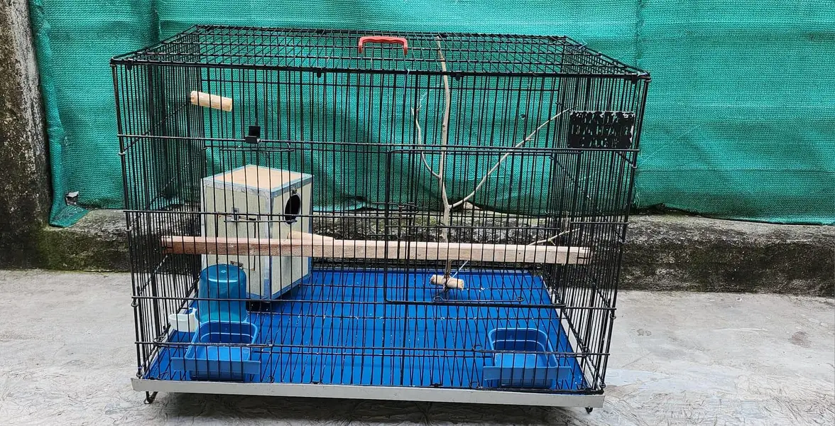 Bird Cage — photo 2
