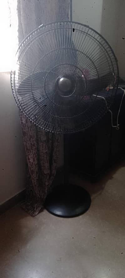Royal full size pedestal fan