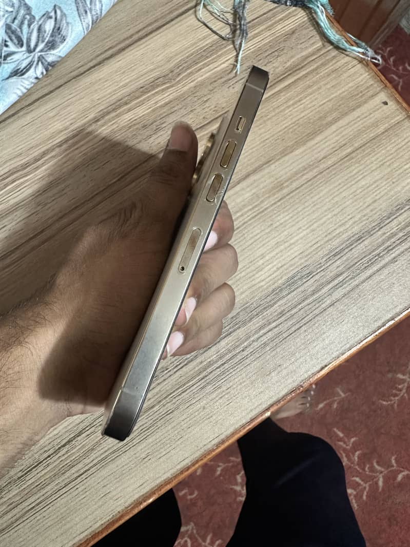Apple iPhone 13 Pro 1