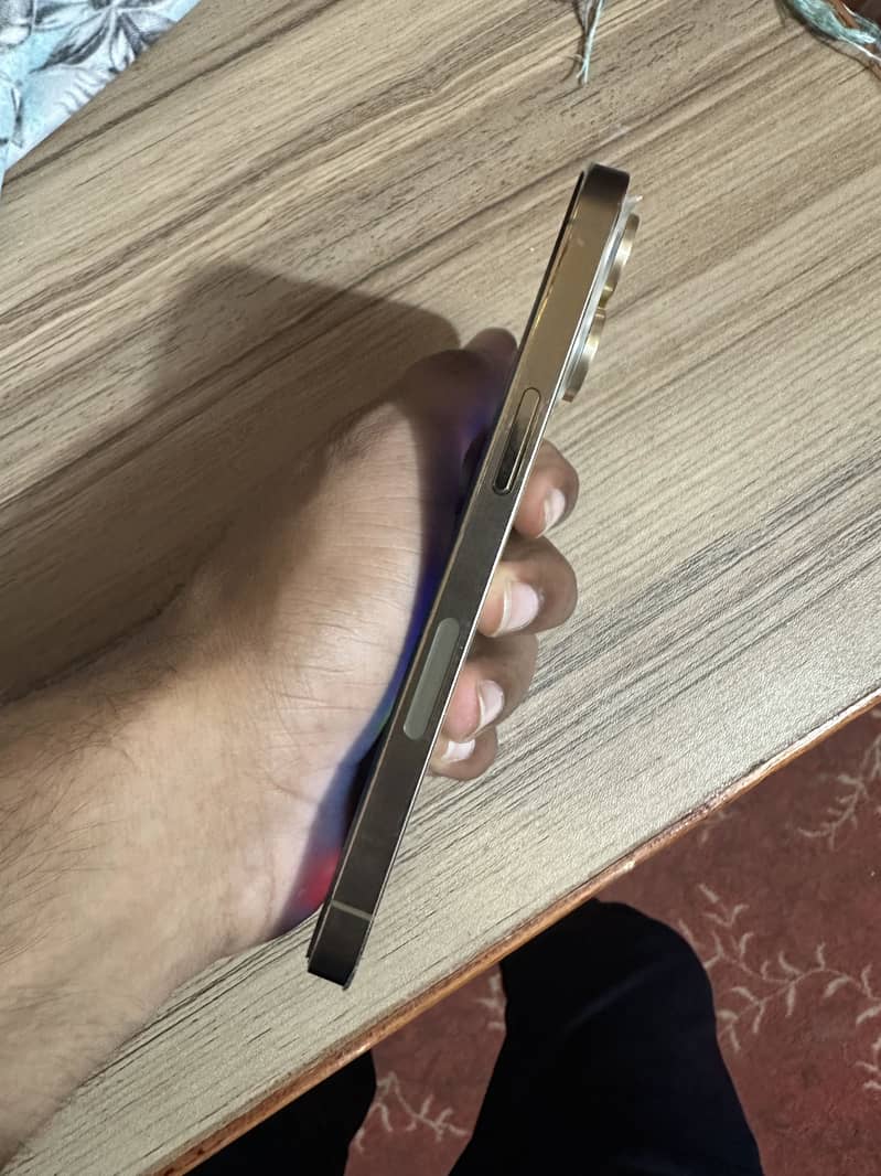 Apple iPhone 13 Pro 2