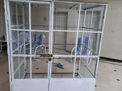 THIS CAGE IS FOR PEGIONS. . CONTACT ME SERIOUS BUYER