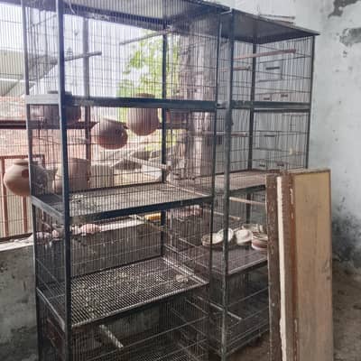 cages shed available  different sizes