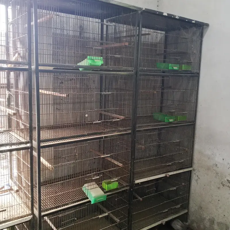 cages shed available  different sizes — photo 2
