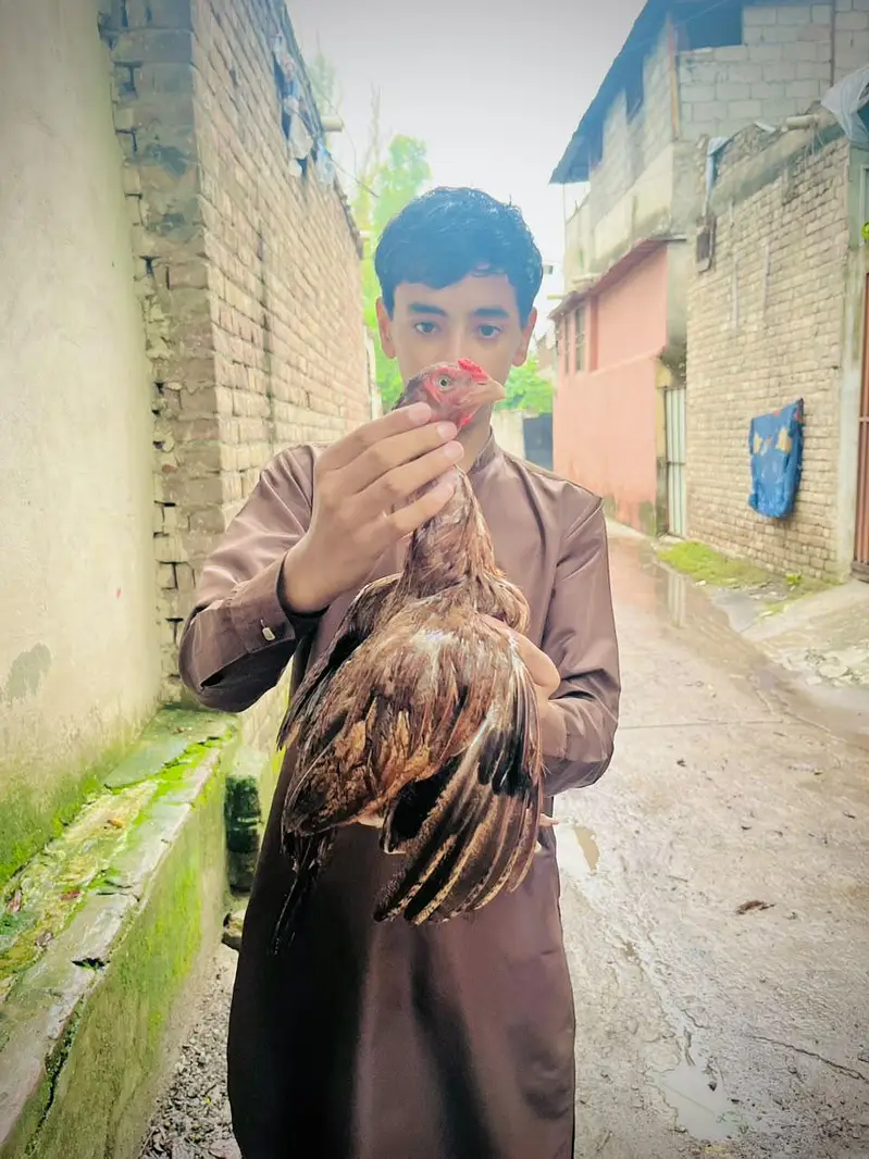 ASE AMROHA MADI FOR SALE PRICE 4500 — photo 6