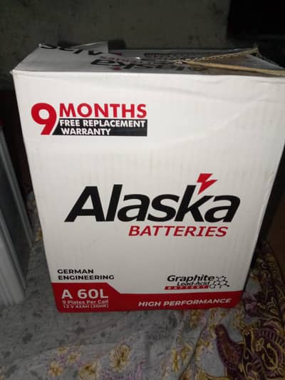 Alaska battery