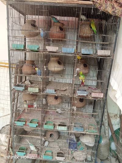 cage ke sat sale krna hai