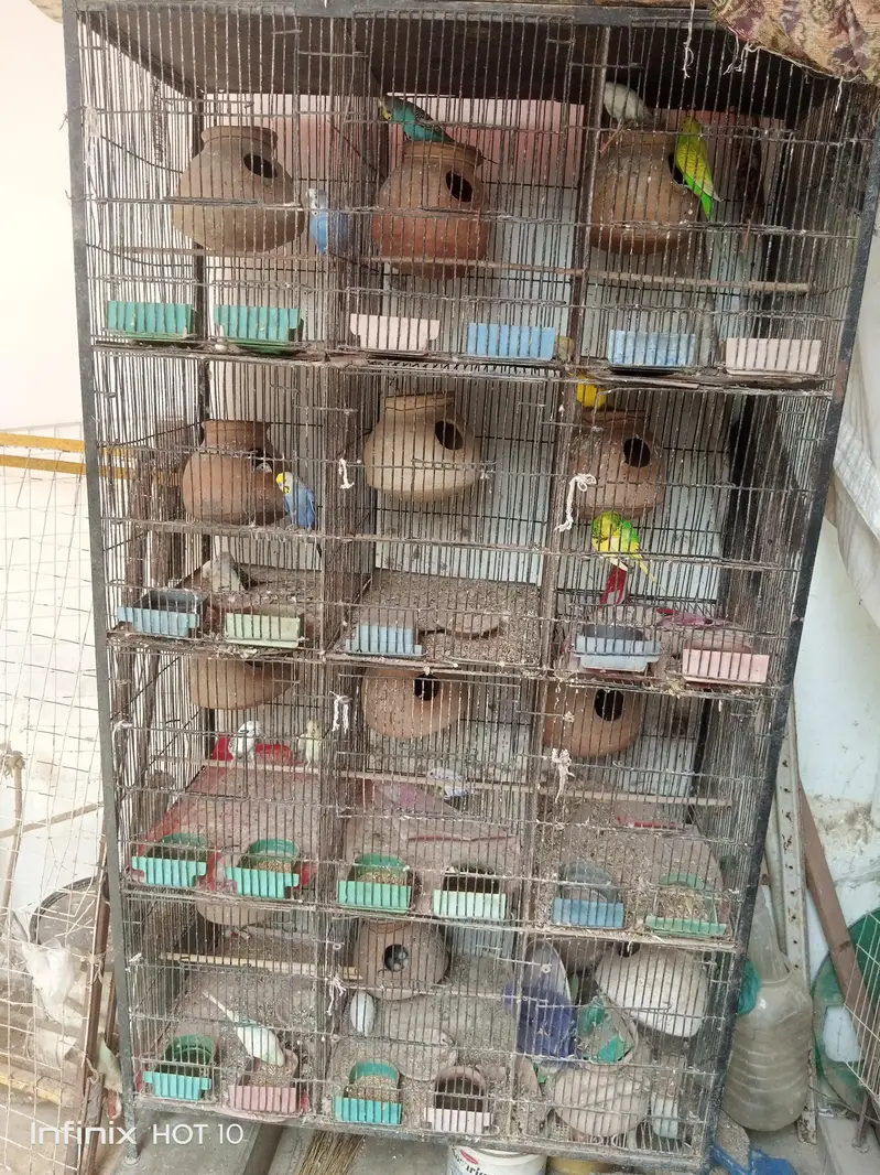 cage ke sat sale krna hai — photo 2