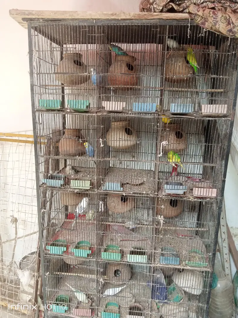 cage ke sat sale krna hai — photo 3