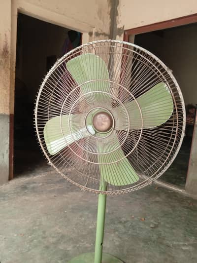 Al Riaz Best Fan
