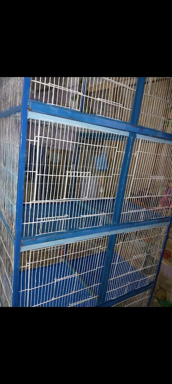 cages — photo 2