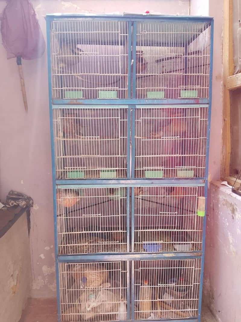 cages 2