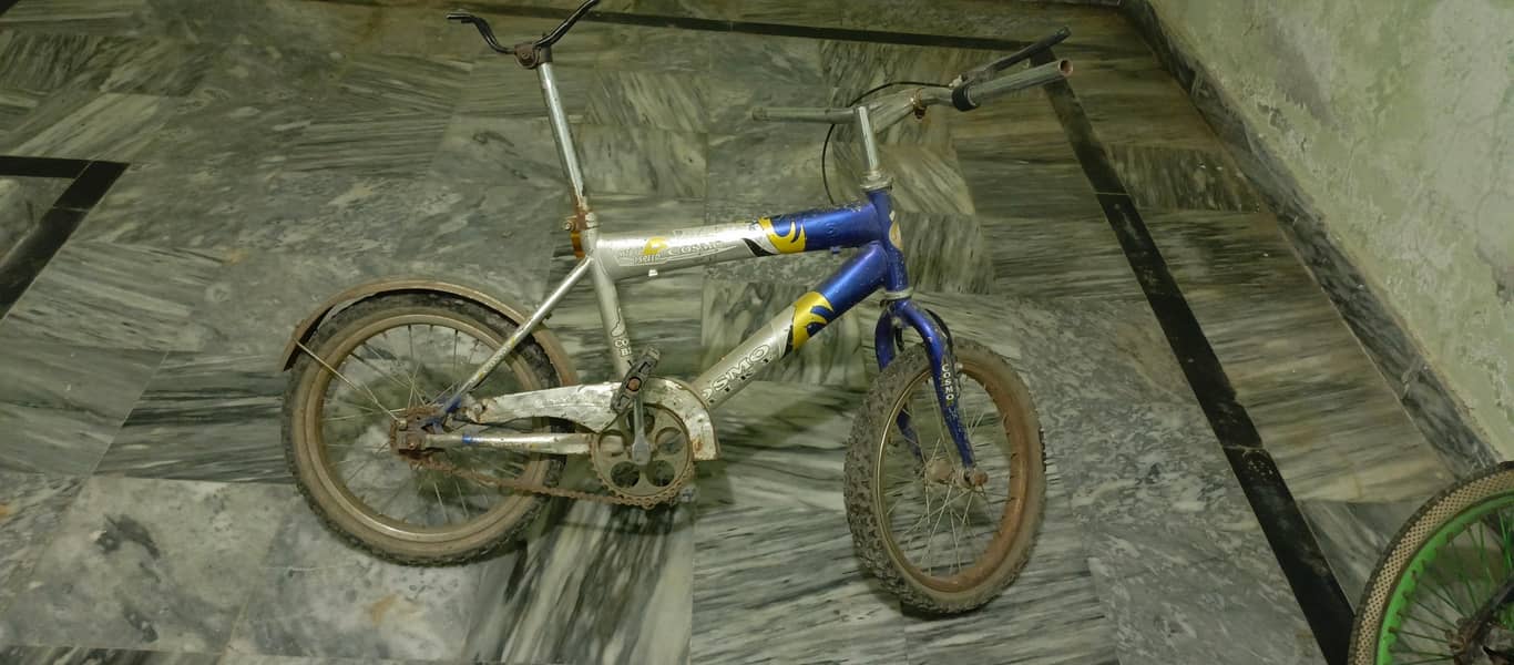 both cycles 5