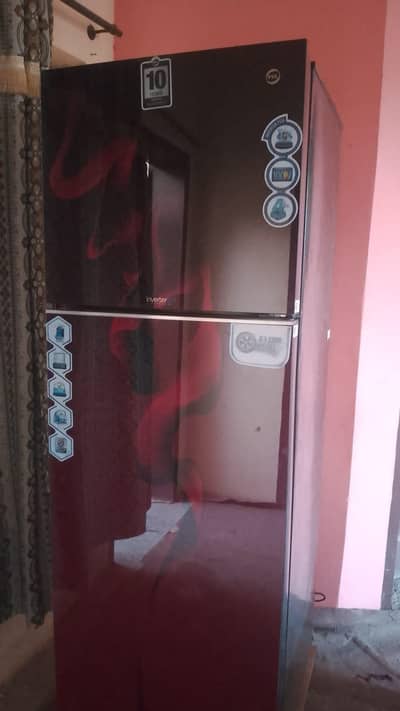 Pel fridge Glas door 2 door for sale