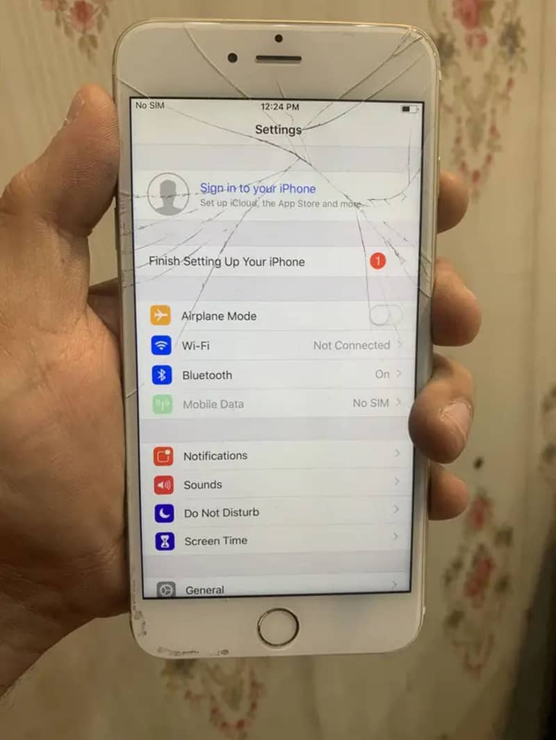 Apple iPhone 6 Plus 1
