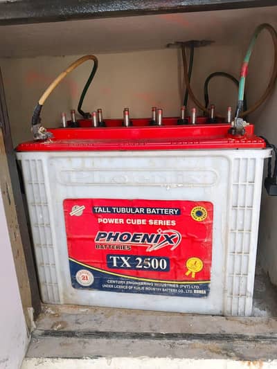 phoenix battery