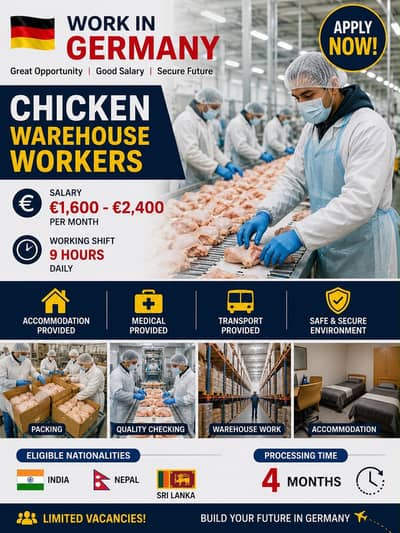 Work visa