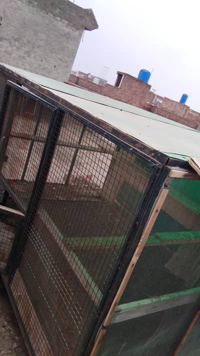 iron cage