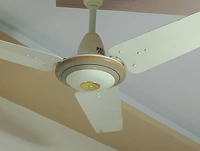 ceiling fan (pak fans)