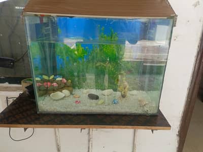 aquarium